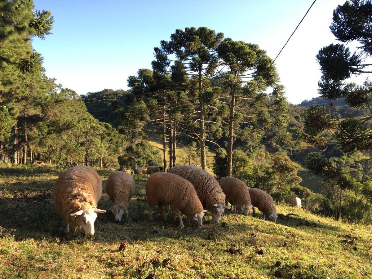 Paraiso Na Montanha, Sitio Siriema Campos do Jordao