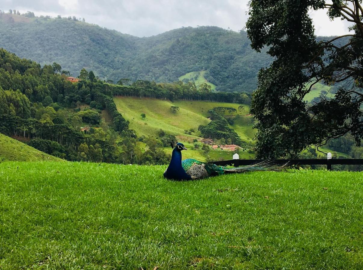 Paraiso Na Montanha, Sitio Siriema Holiday home *
