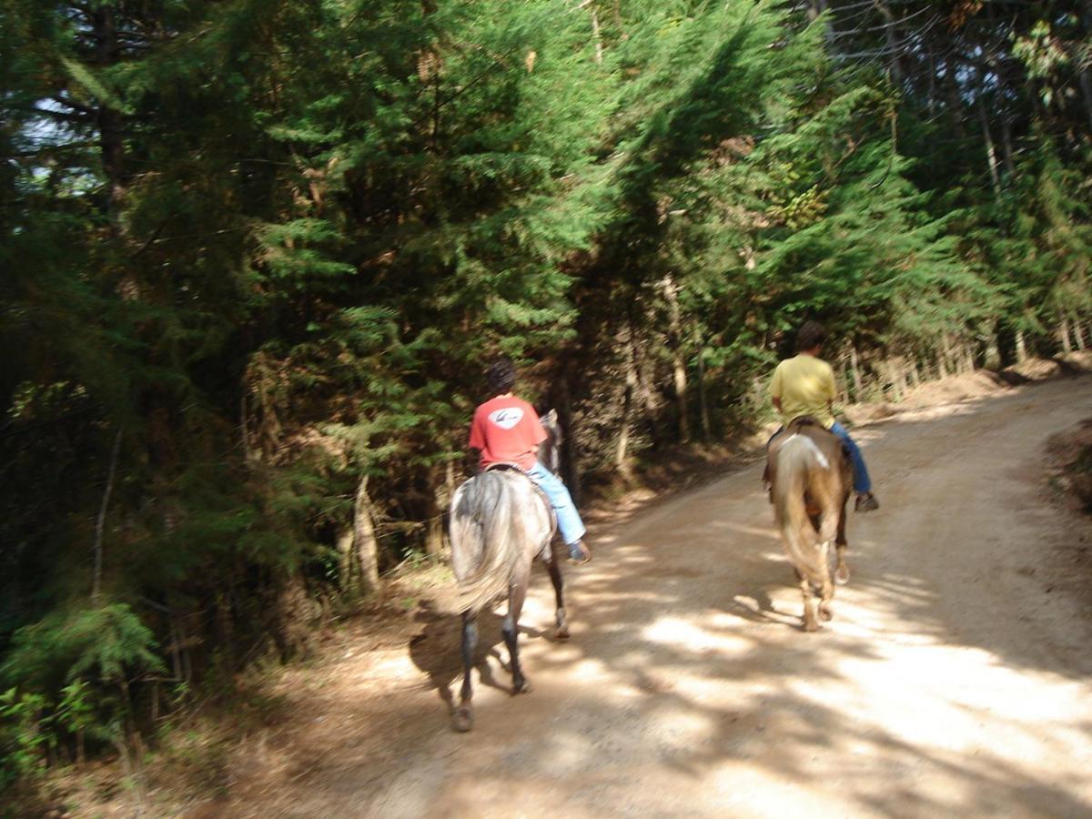 Paraiso Na Montanha, Sitio Siriema *
