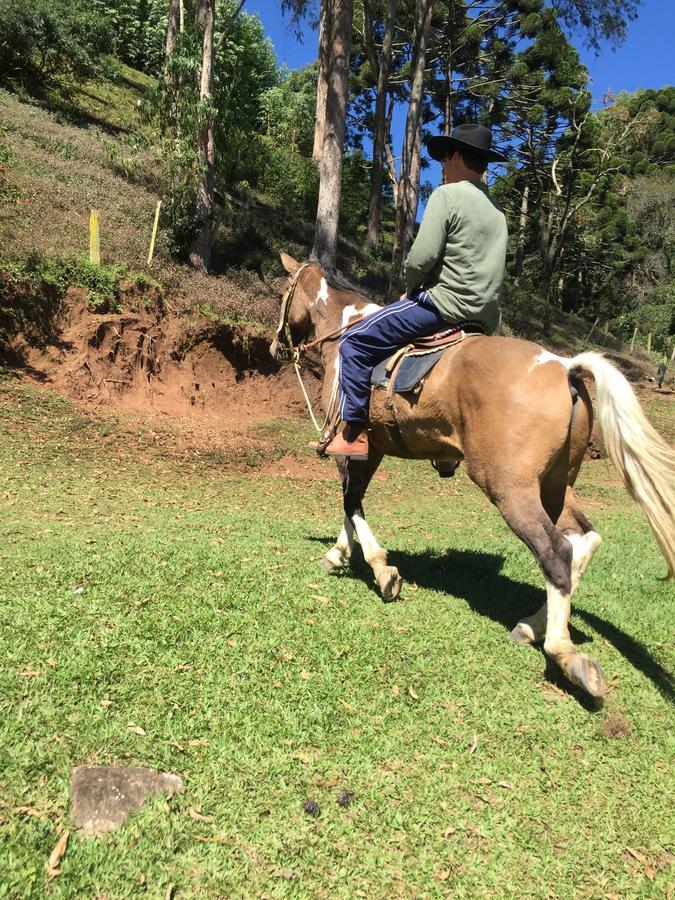Paraiso Na Montanha, Sitio Siriema *