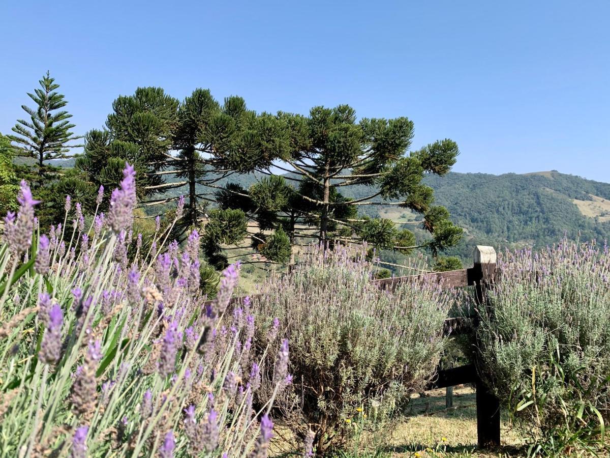 Paraíso Na Montanha Casa de Férias Campos do Jordão